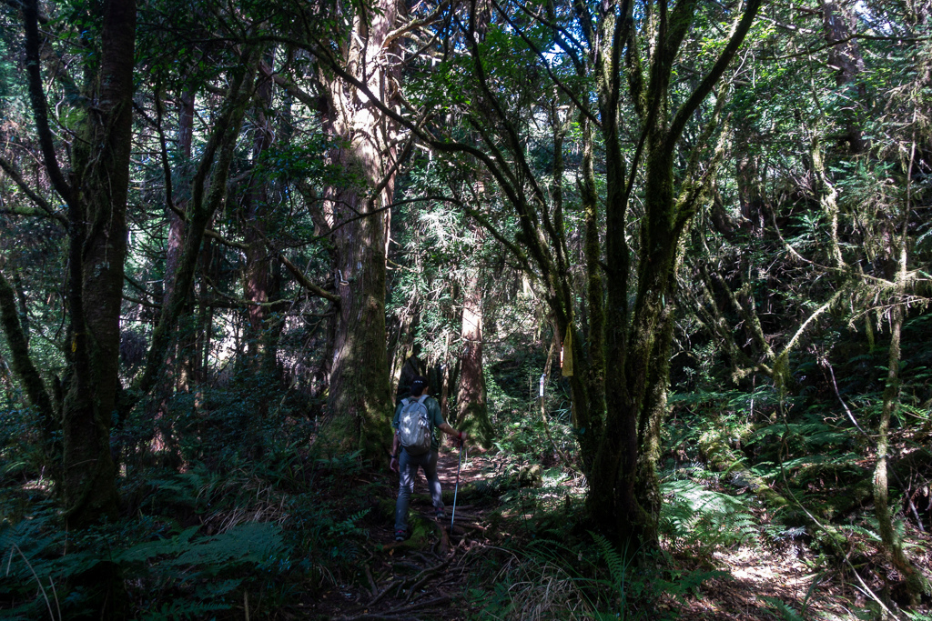 DSC06708.JPG DSC06708.JPG