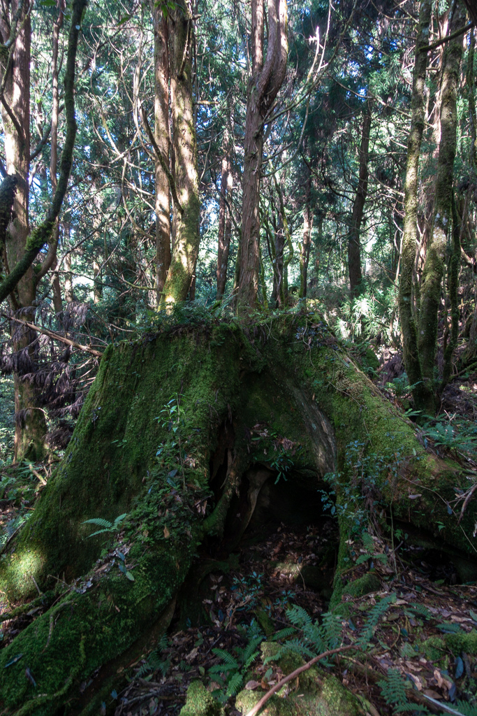 DSC06710.JPG DSC06710.JPG