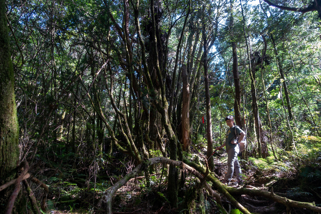 DSC06711.JPG DSC06711.JPG