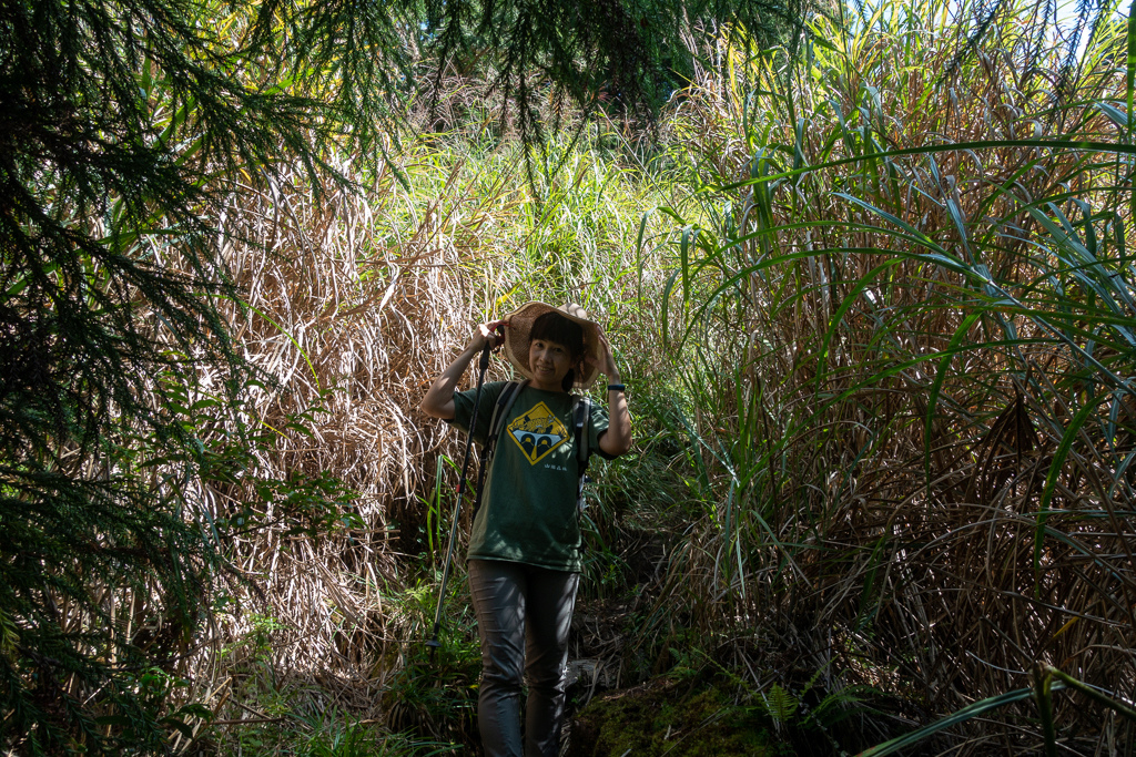 DSC06712.JPG DSC06712.JPG