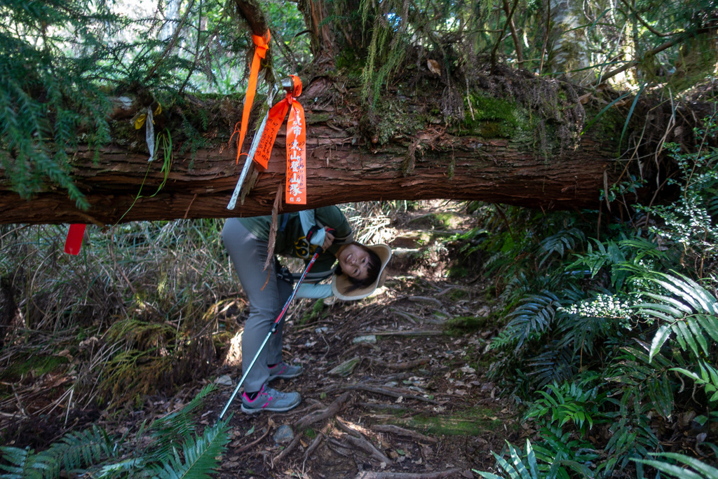 DSC06717.JPG DSC06717.JPG