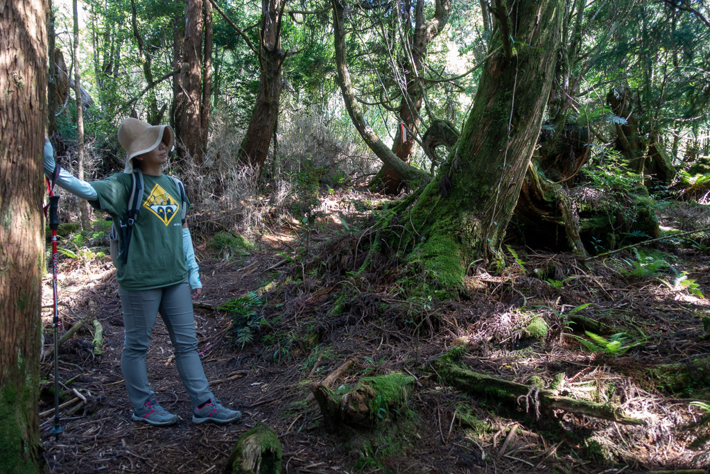 DSC06718.JPG DSC06718.JPG