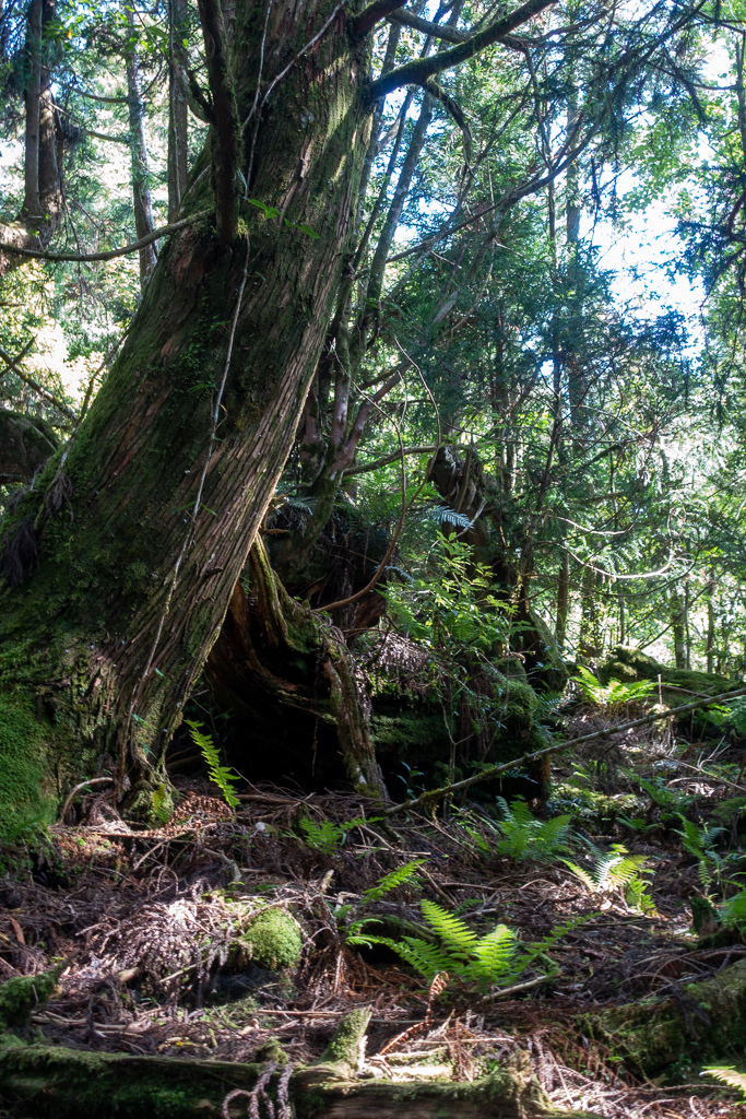 DSC06719.JPG DSC06719.JPG