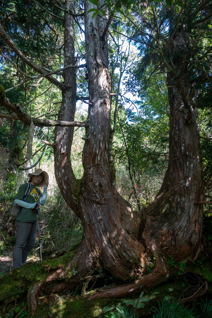 DSC06721.JPG DSC06721.JPG