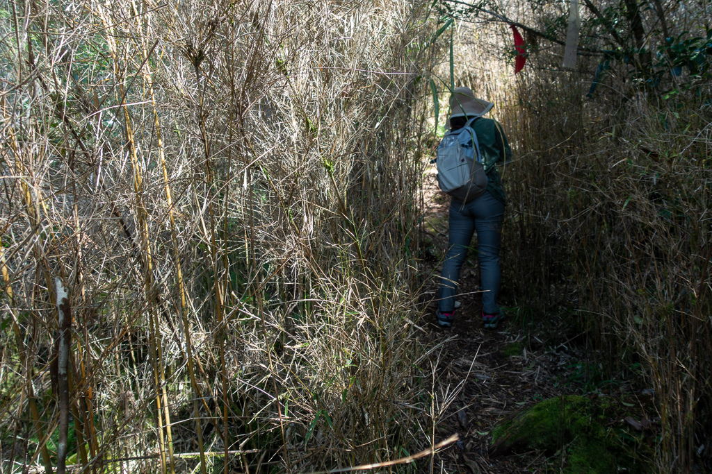 DSC06724.JPG DSC06724.JPG