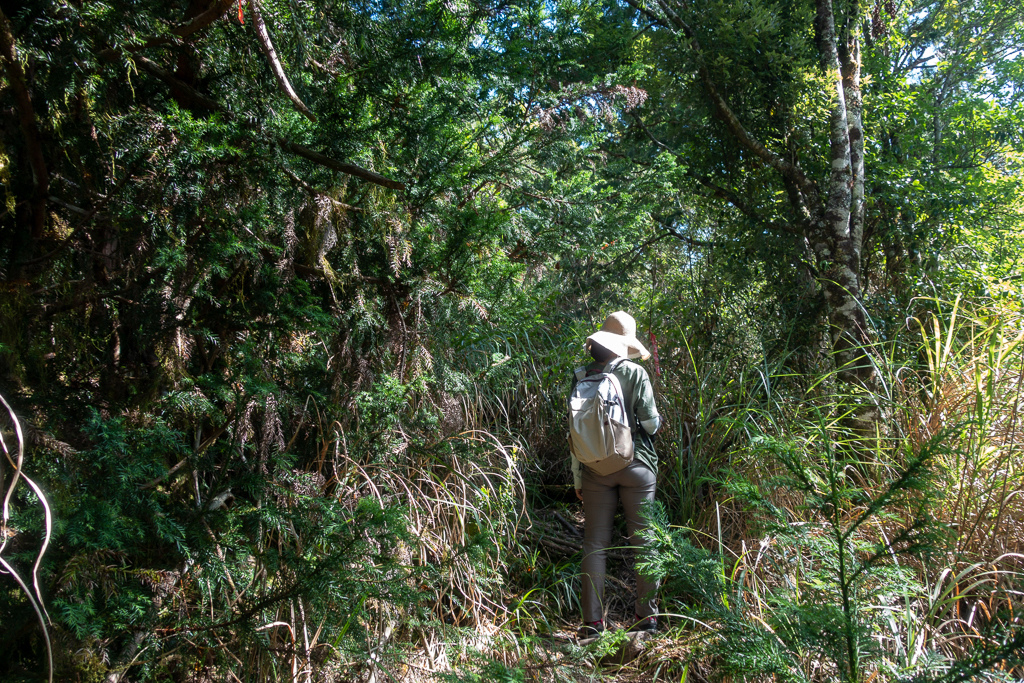 DSC06722.JPG DSC06722.JPG