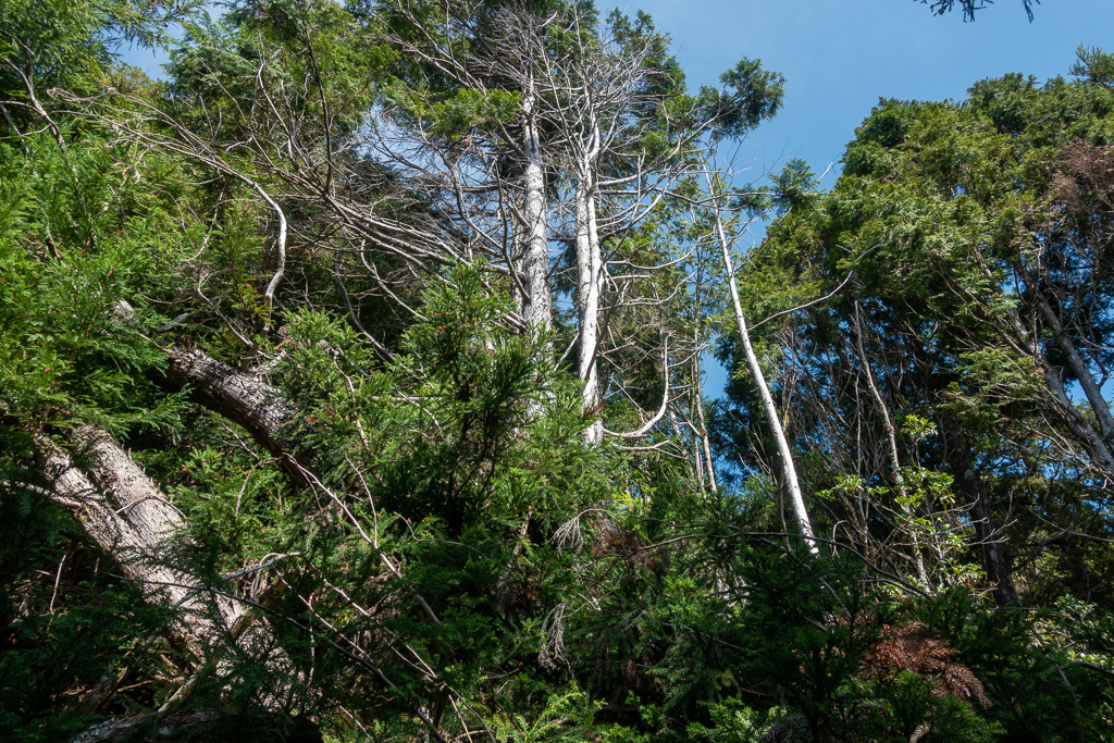 DSC06725.JPG DSC06725.JPG