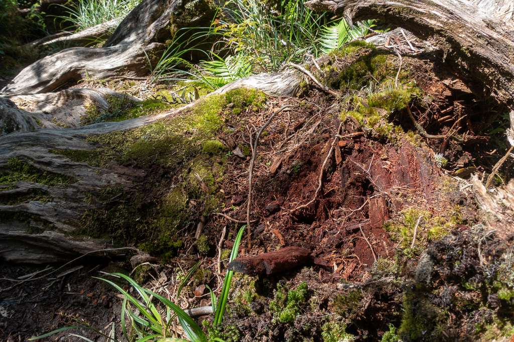 DSC06726.JPG DSC06726.JPG