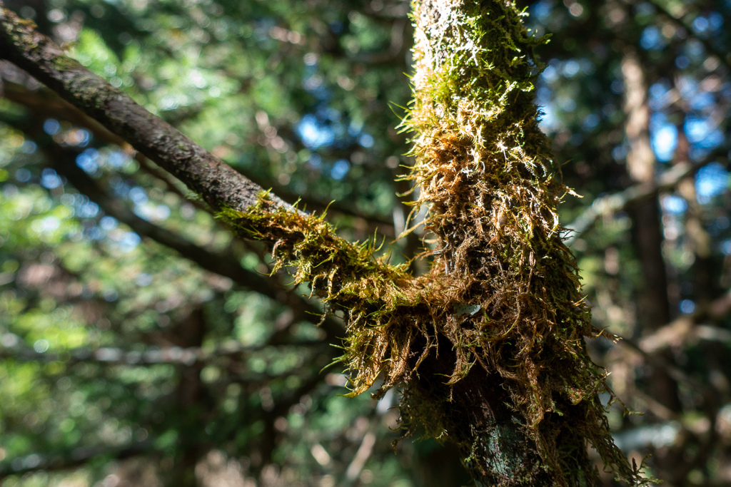 DSC06729.JPG DSC06729.JPG