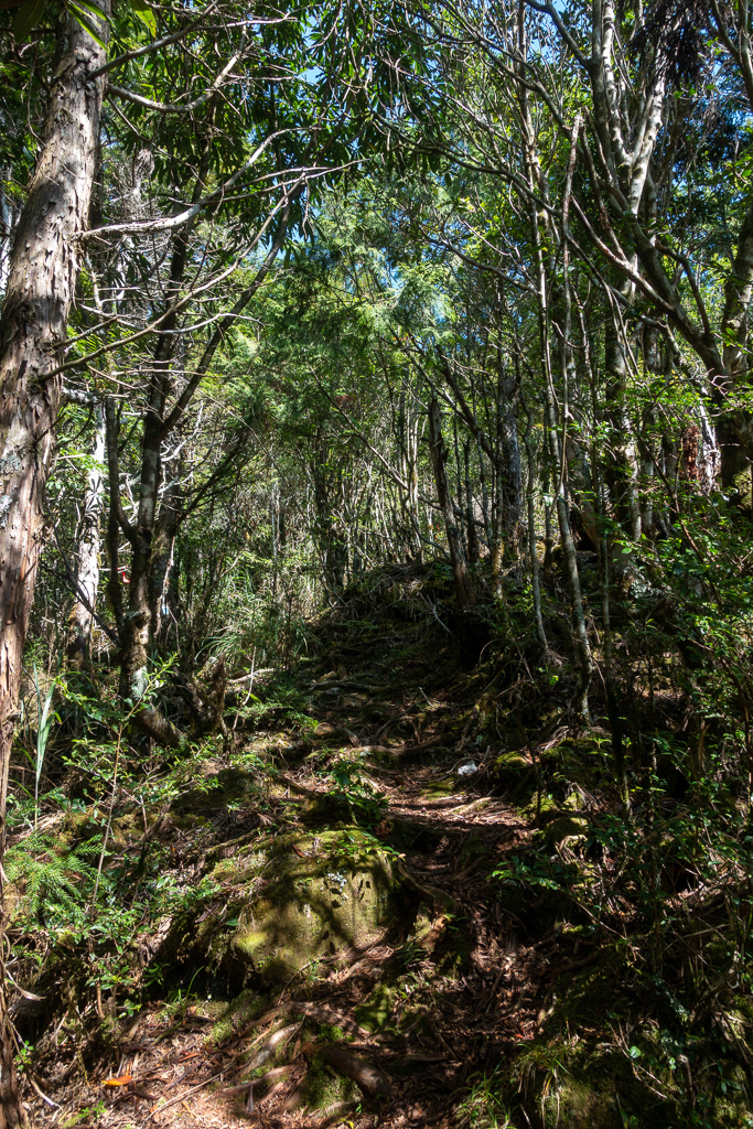 DSC06727.JPG DSC06727.JPG