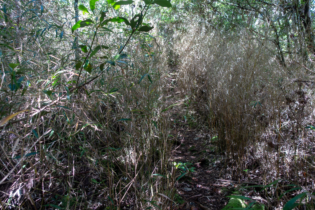 DSC06728.JPG DSC06728.JPG