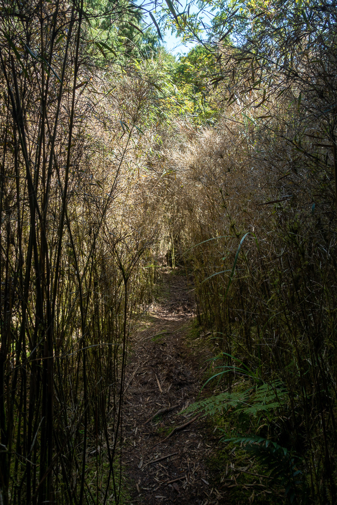 DSC06731.JPG DSC06731.JPG