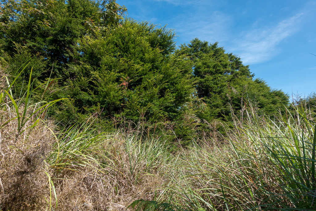 DSC06743.JPG DSC06743.JPG