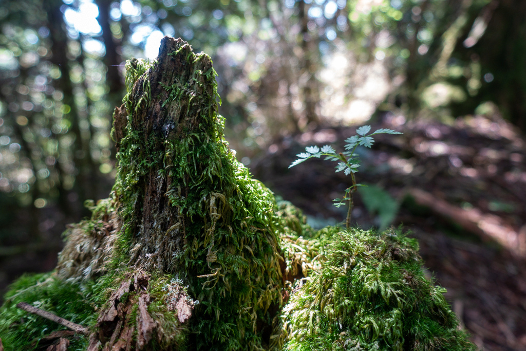 DSC06748.JPG DSC06748.JPG