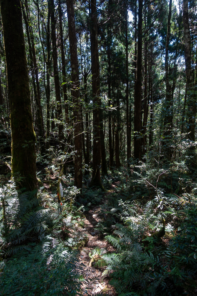 DSC06749.JPG DSC06749.JPG