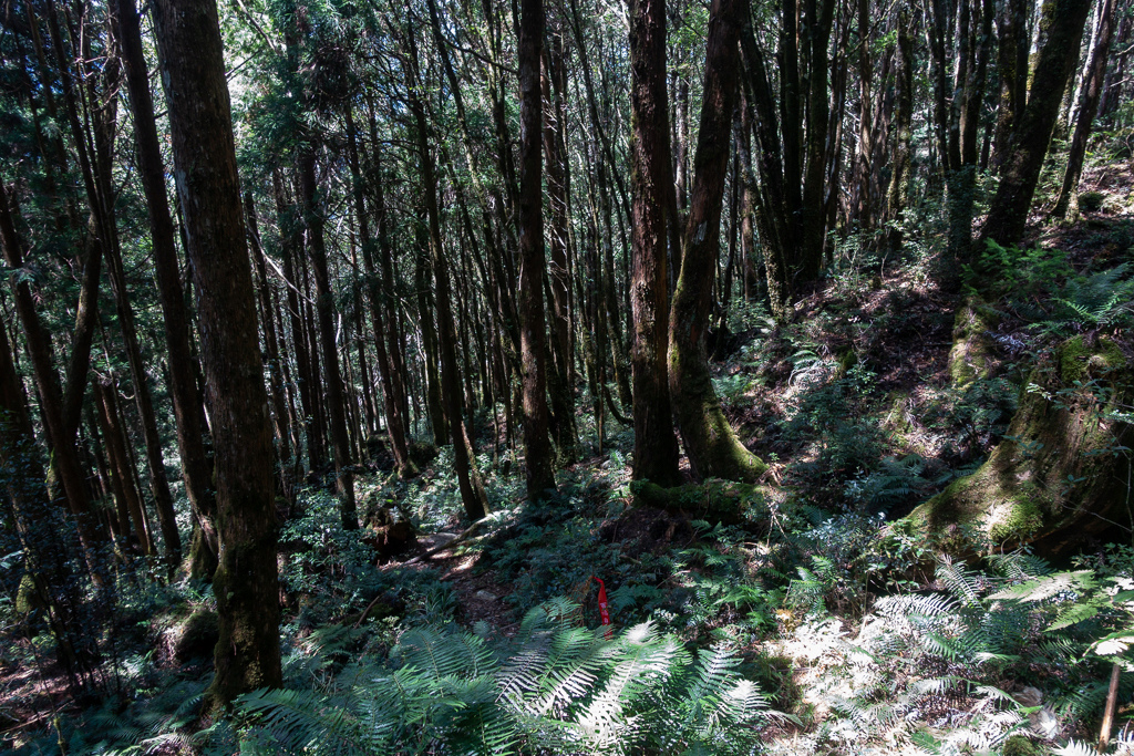 DSC06750.JPG DSC06750.JPG