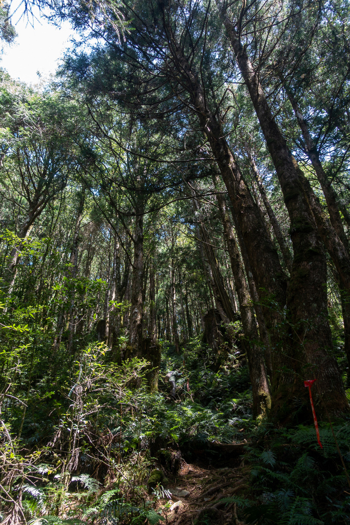 DSC06751.JPG DSC06751.JPG