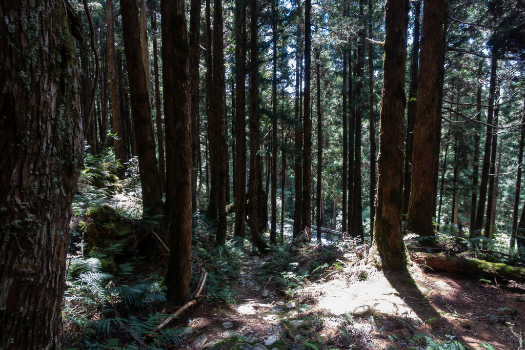 DSC06752.JPG DSC06752.JPG