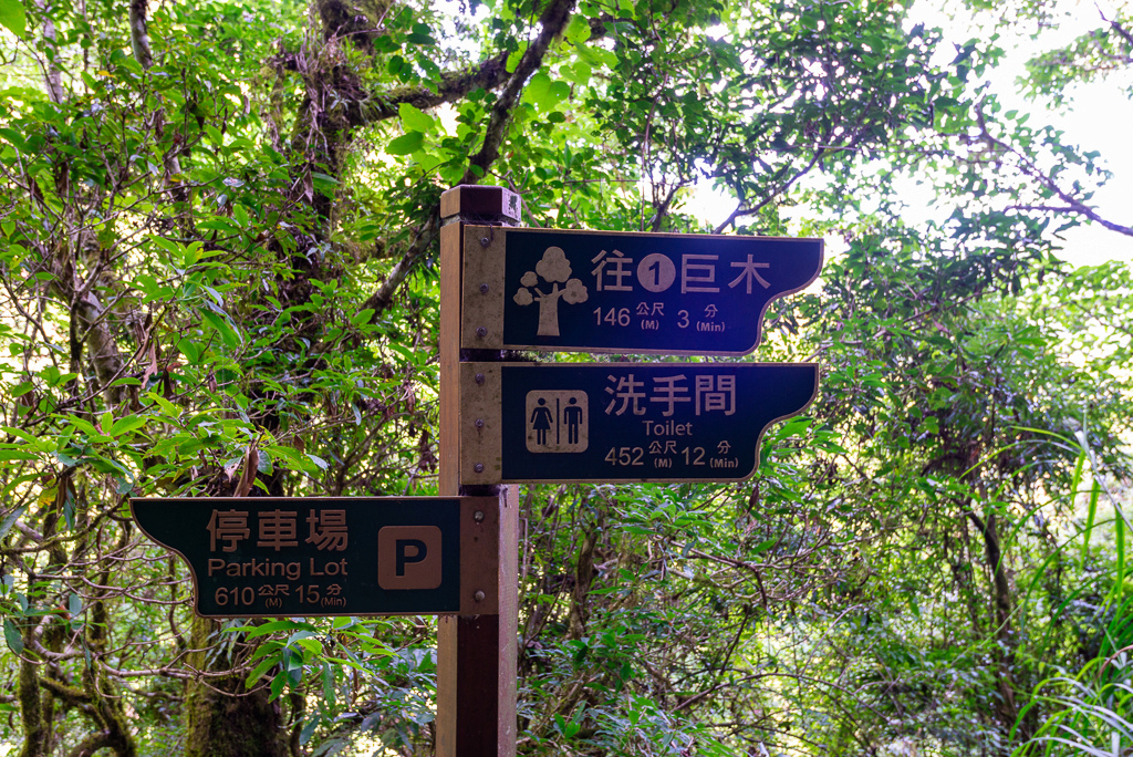 _DSC8705-編輯.JPG _DSC8705-編輯.JPG