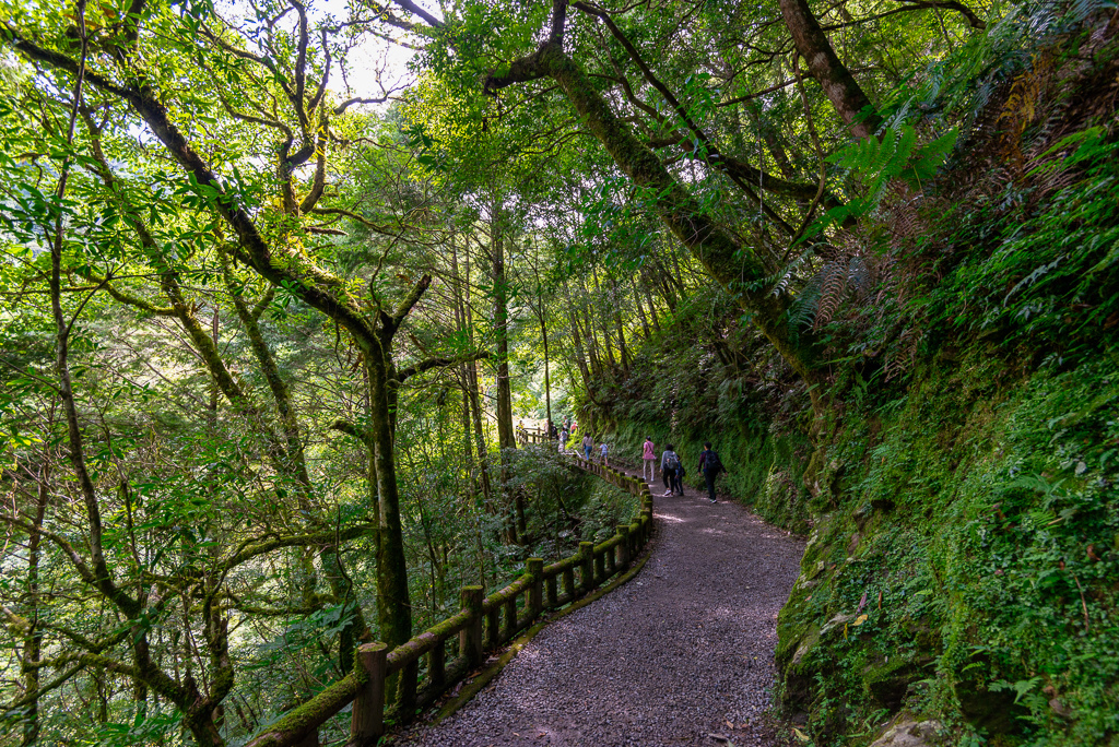 _DSC8719-編輯.JPG _DSC8719-編輯.JPG