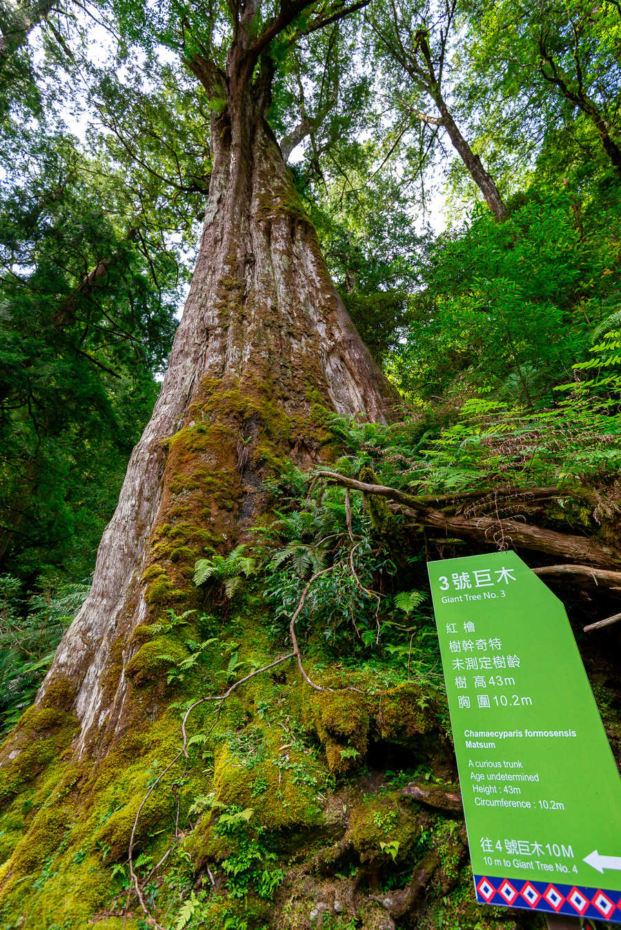 _DSC8732-編輯.JPG _DSC8732-編輯.JPG