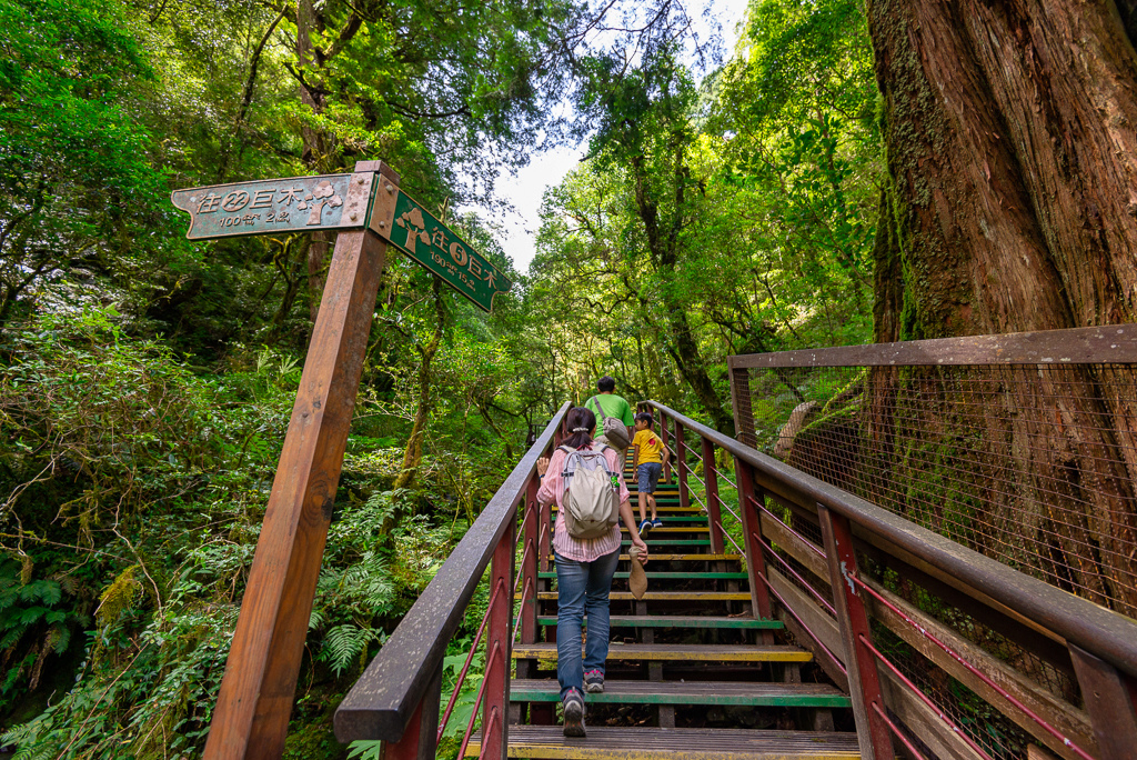 _DSC8740-編輯.JPG _DSC8740-編輯.JPG