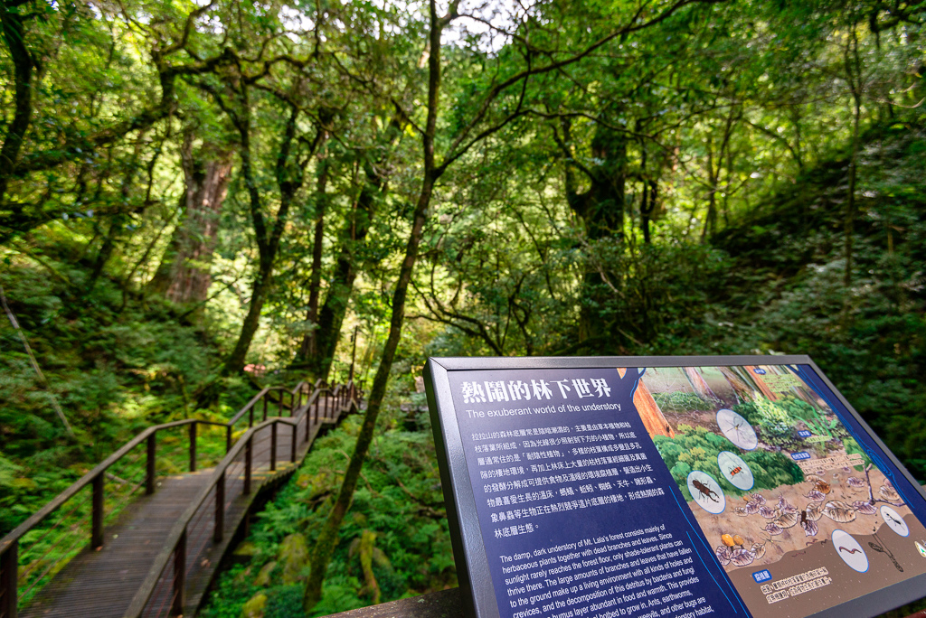 _DSC8742-編輯.JPG _DSC8742-編輯.JPG