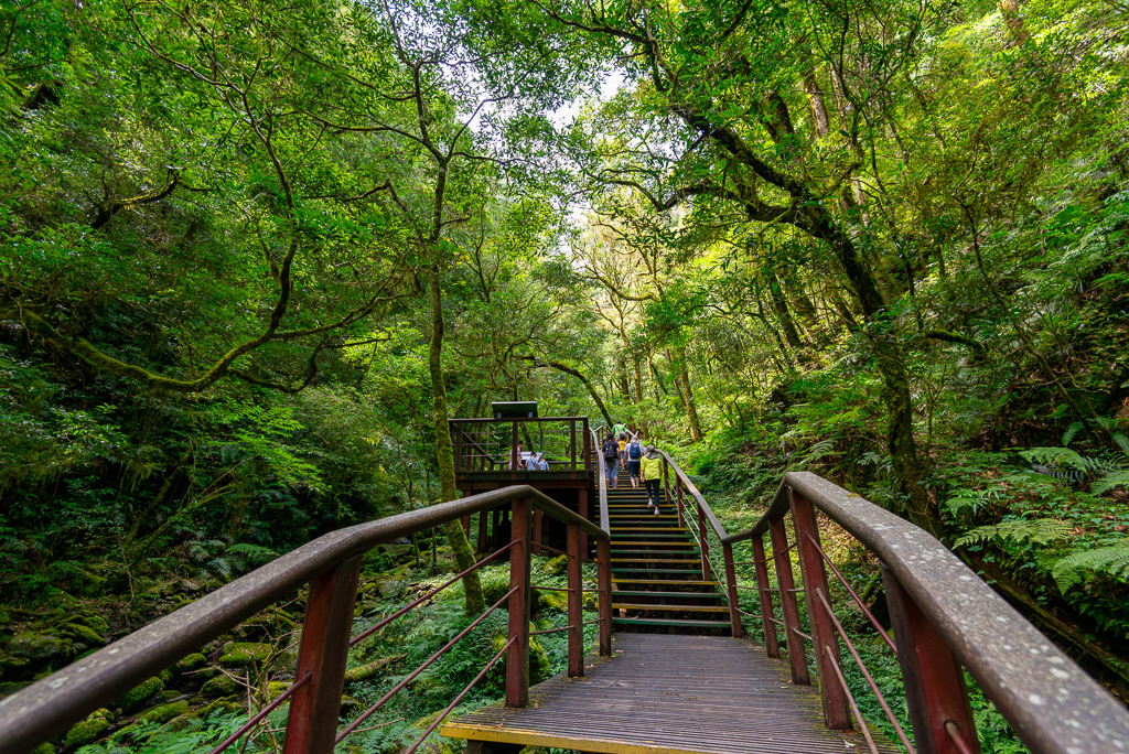 _DSC8741-編輯.JPG _DSC8741-編輯.JPG