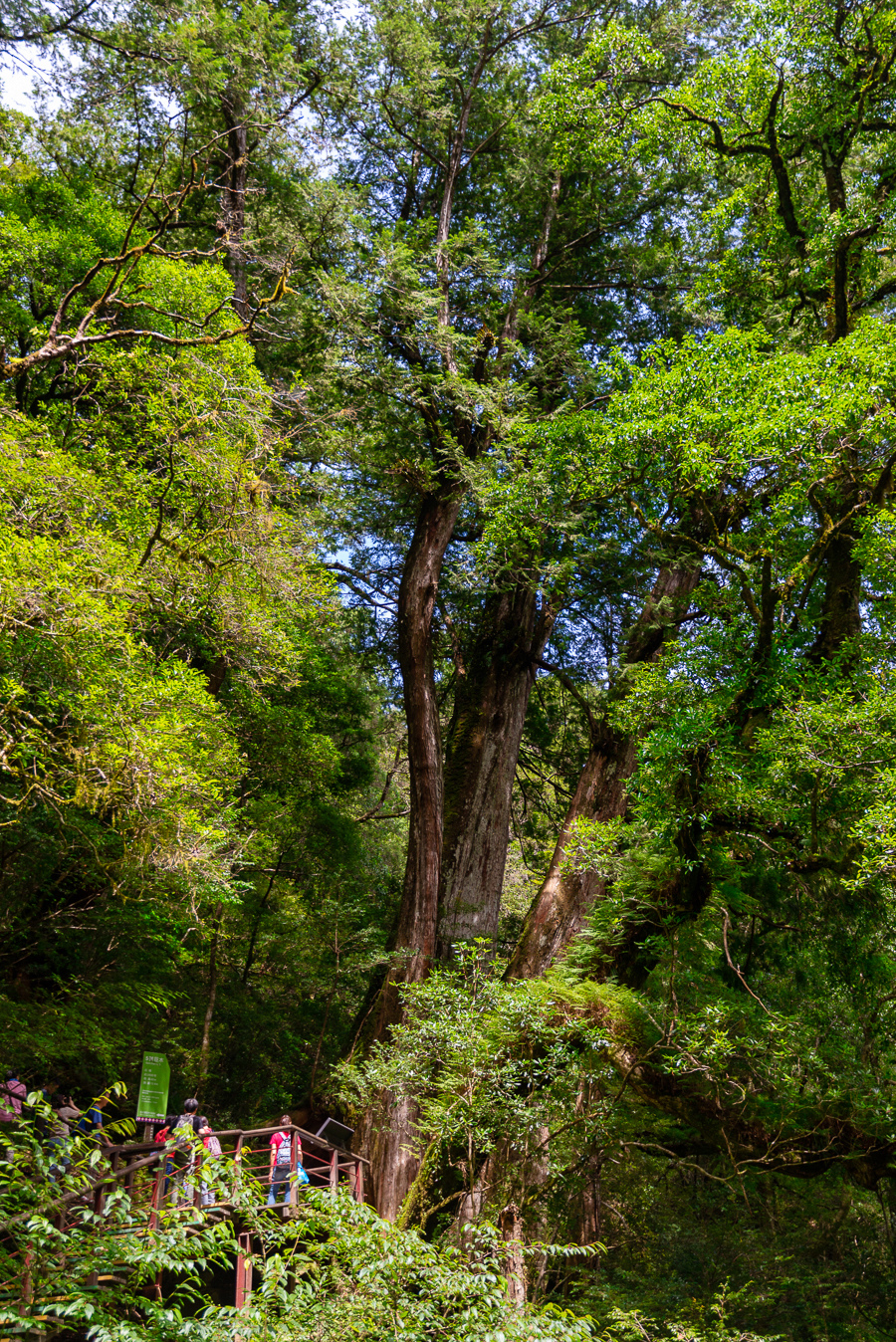 _DSC8750-編輯.JPG _DSC8750-編輯.JPG