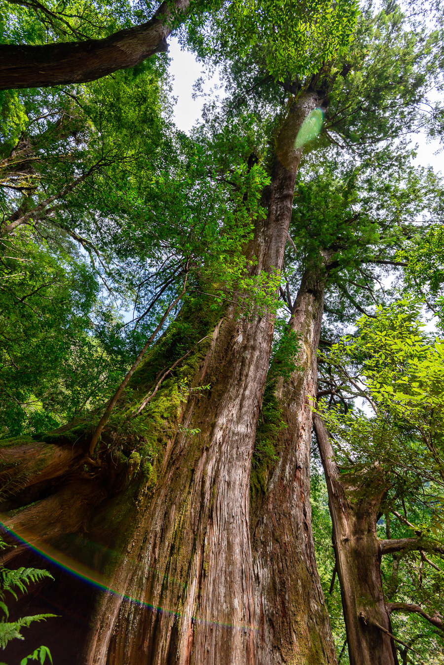 _DSC8759-編輯.JPG _DSC8759-編輯.JPG