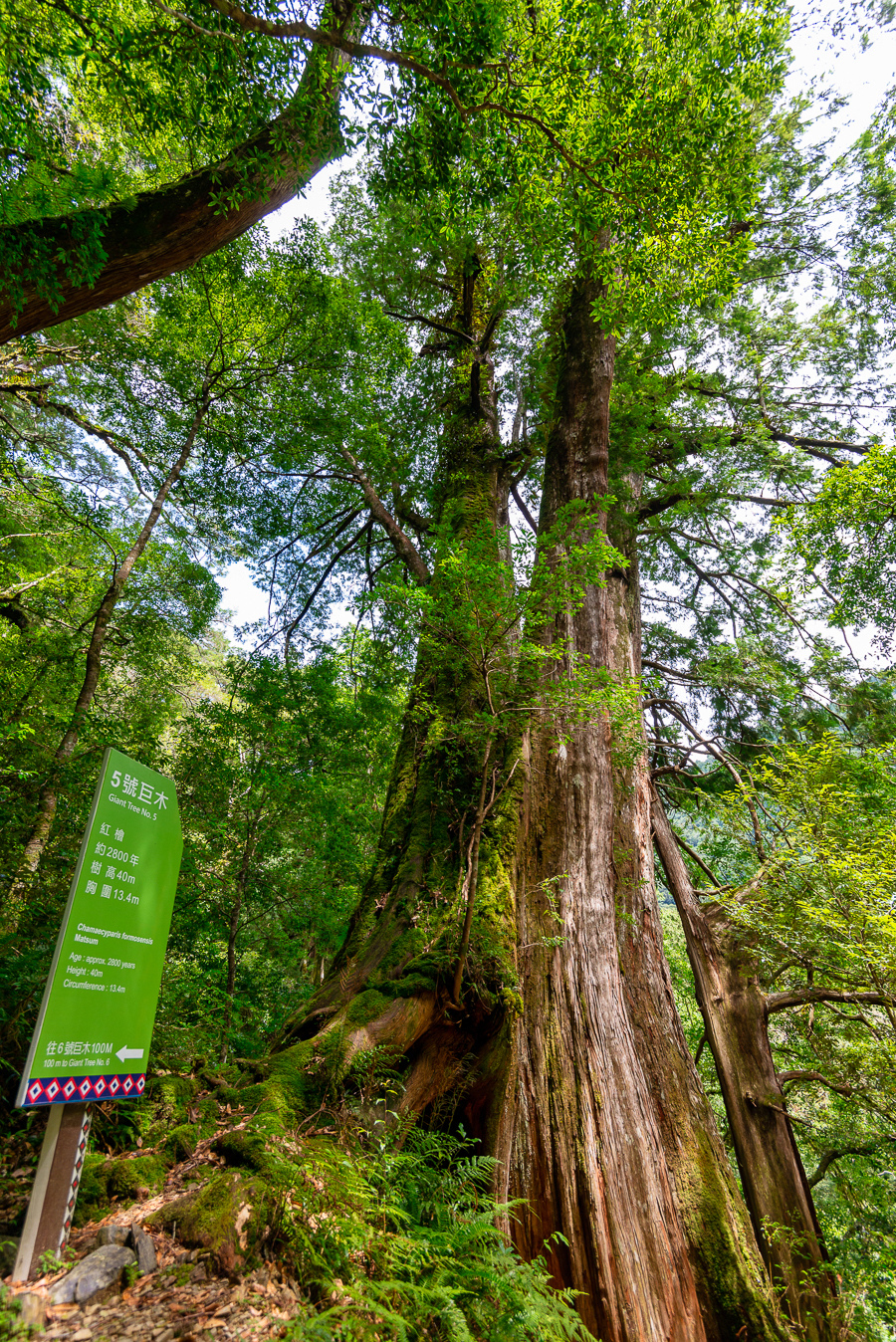 _DSC8761-編輯.JPG _DSC8761-編輯.JPG