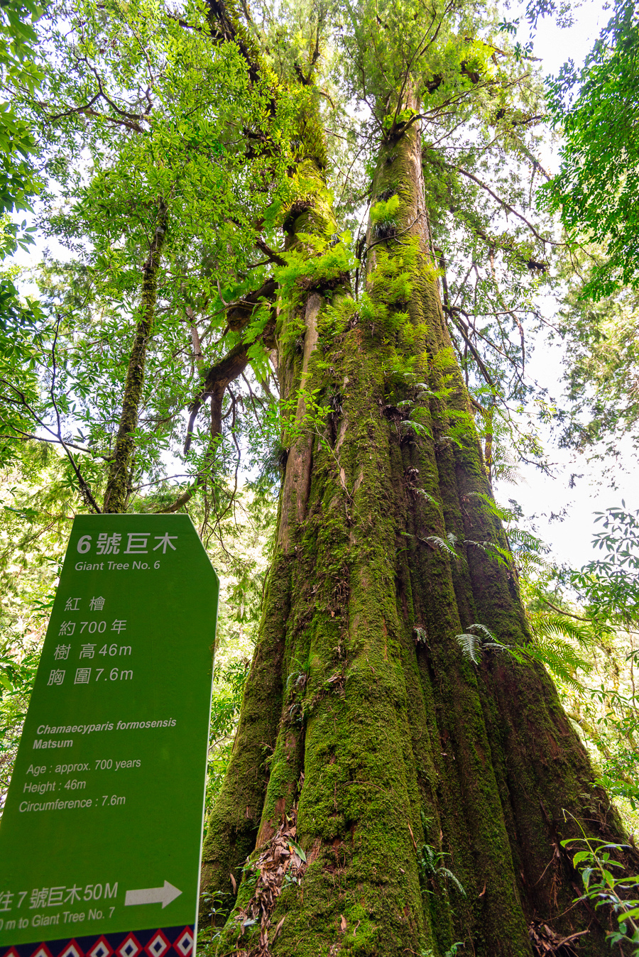 _DSC8777-編輯.JPG _DSC8777-編輯.JPG