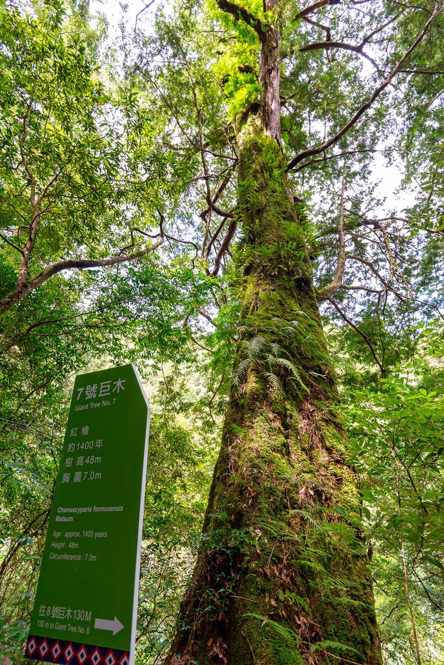 _DSC8780-編輯.JPG _DSC8780-編輯.JPG