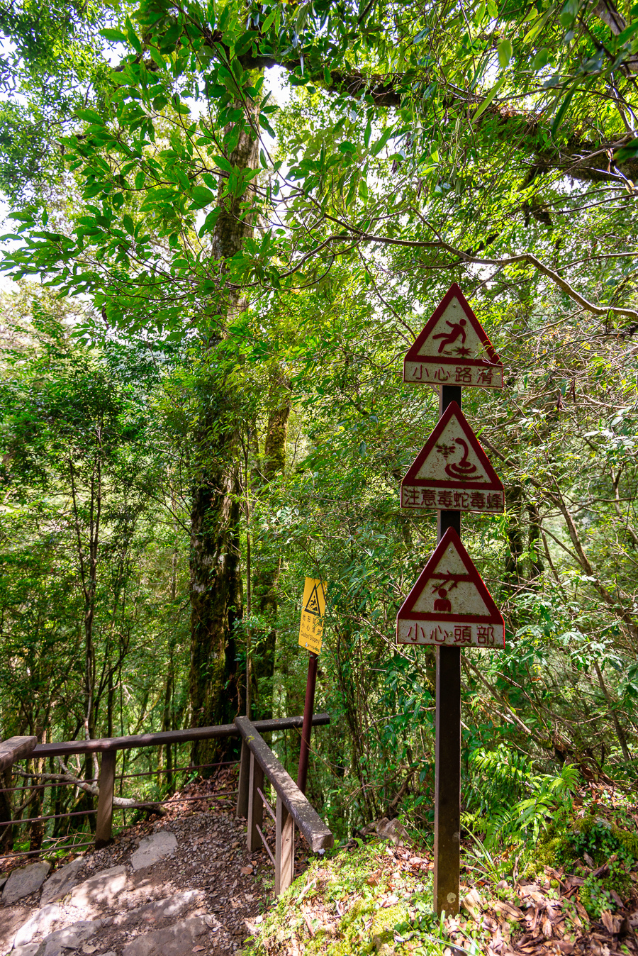 _DSC8784-編輯.JPG _DSC8784-編輯.JPG