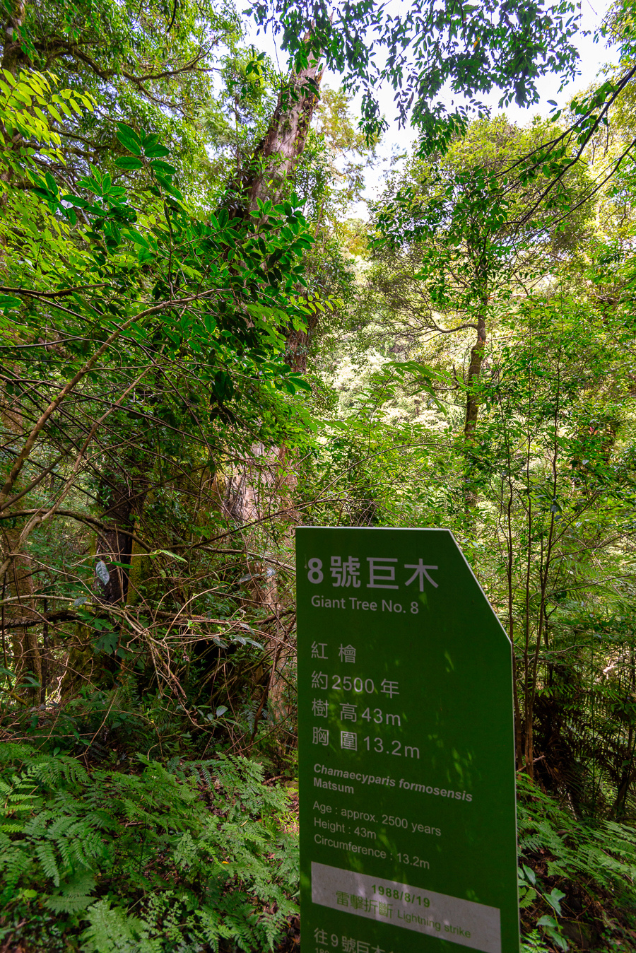 _DSC8792-編輯.JPG _DSC8792-編輯.JPG