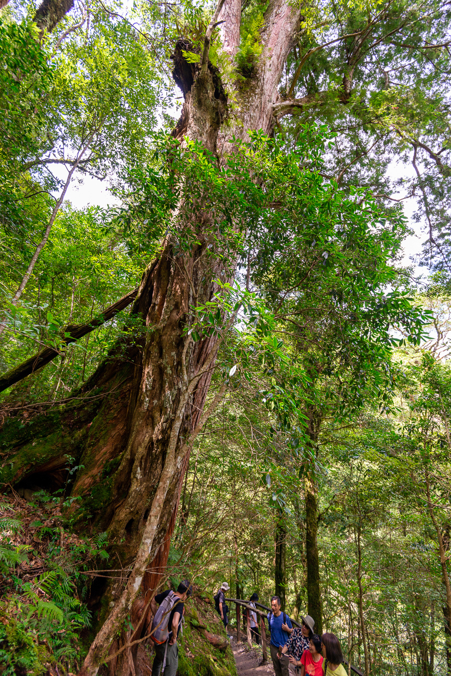 _DSC8793-編輯.JPG _DSC8793-編輯.JPG