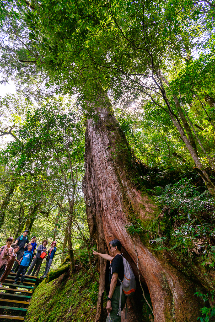 _DSC8794-編輯.JPG _DSC8794-編輯.JPG