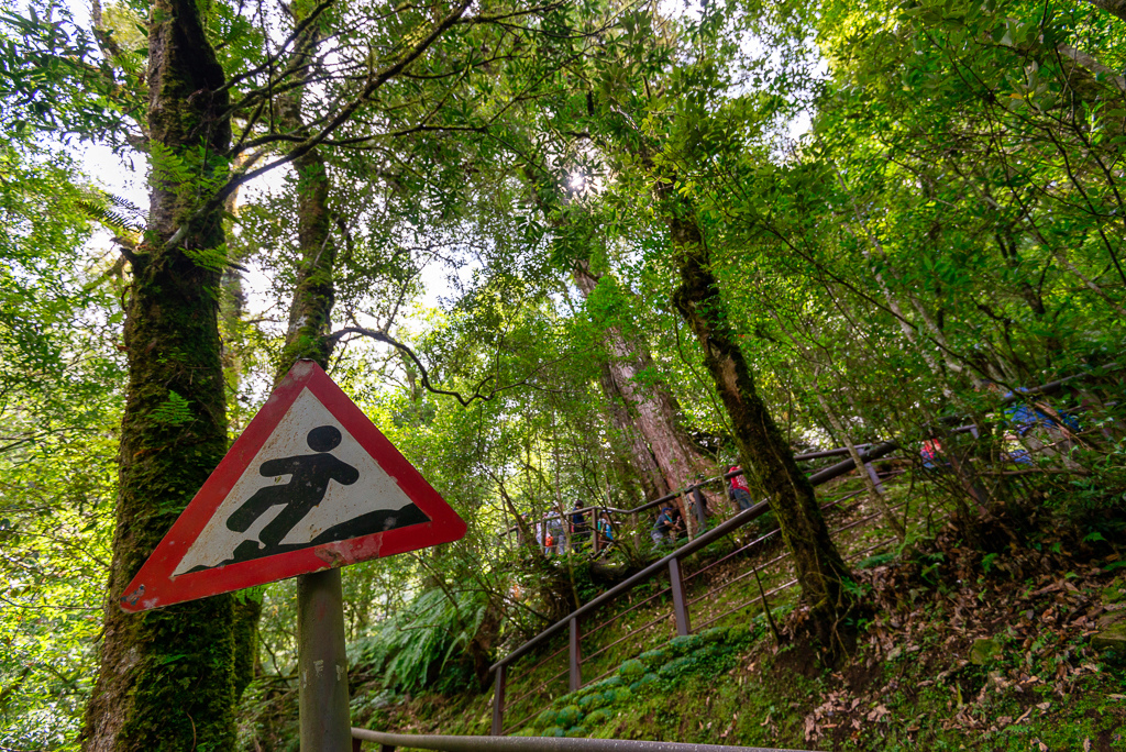 _DSC8796-編輯.JPG _DSC8796-編輯.JPG