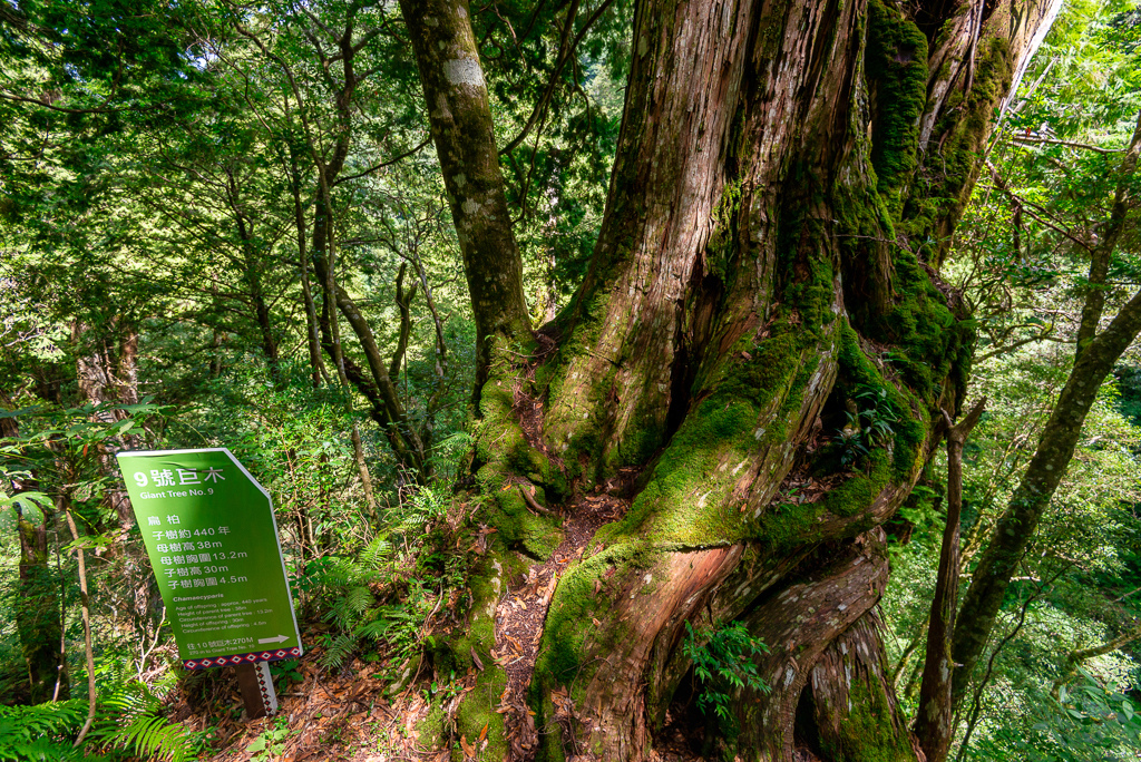 _DSC8798-編輯.JPG _DSC8798-編輯.JPG