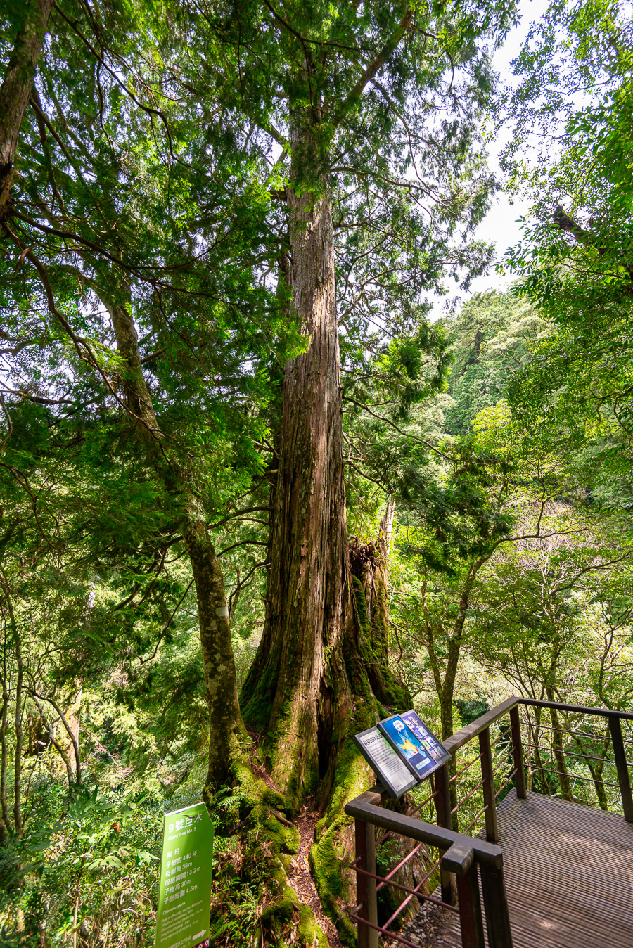 _DSC8797-編輯.JPG _DSC8797-編輯.JPG