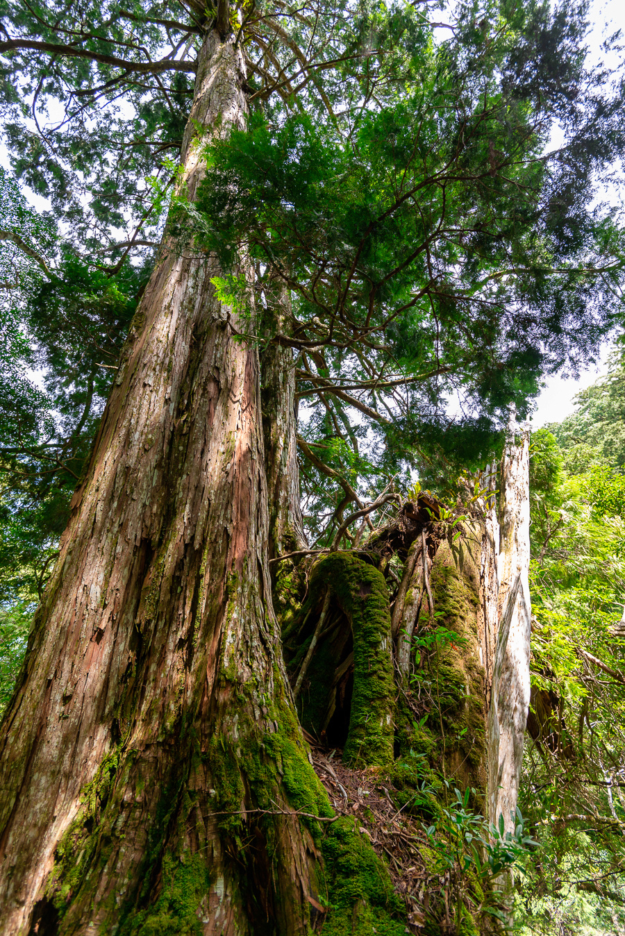 _DSC8801-編輯.JPG _DSC8801-編輯.JPG