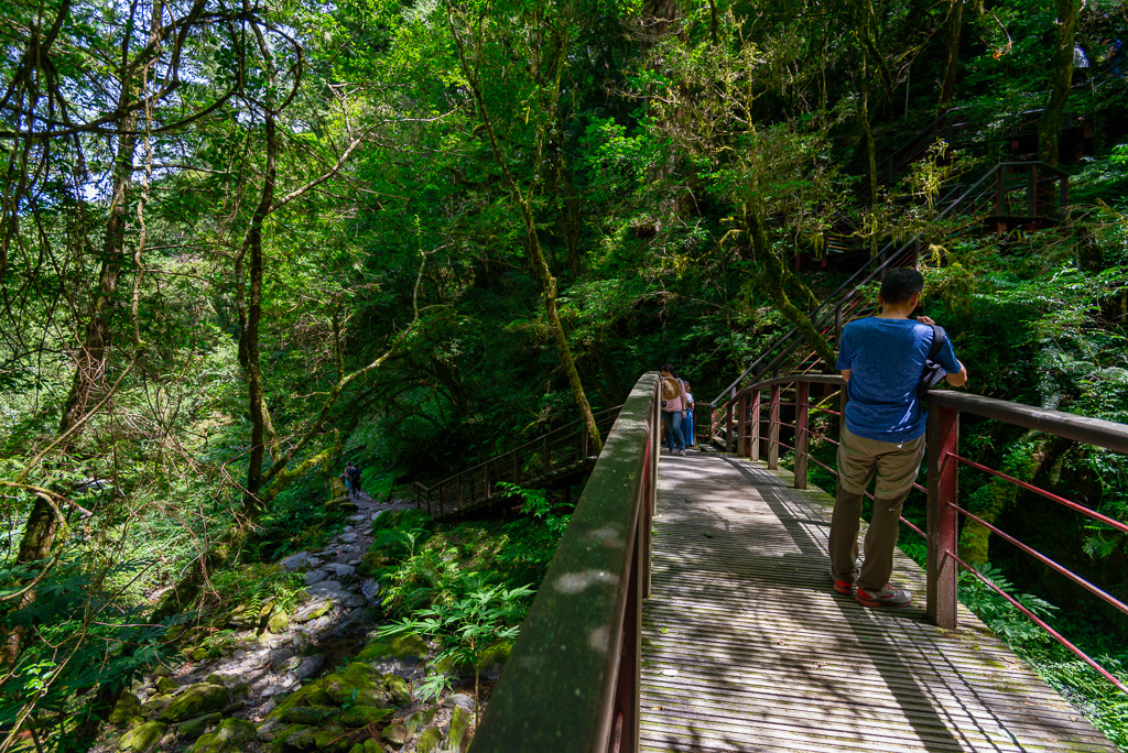 _DSC8813-編輯.JPG _DSC8813-編輯.JPG