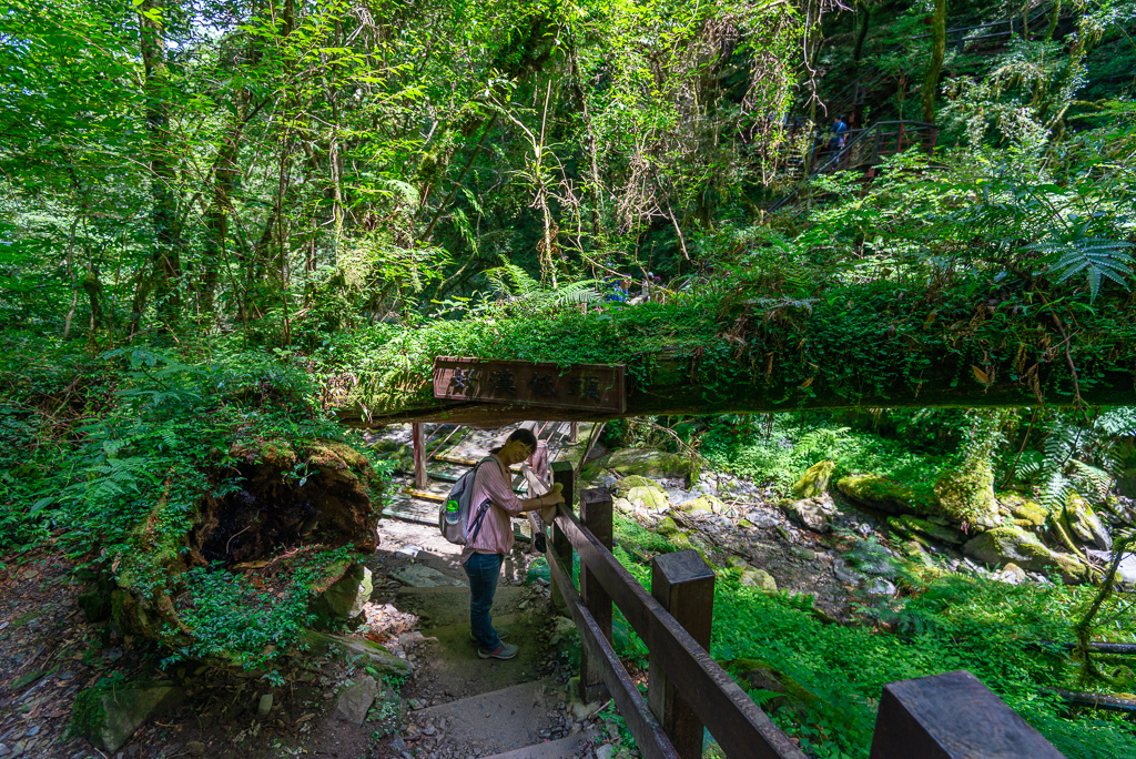 _DSC8808-編輯.JPG _DSC8808-編輯.JPG