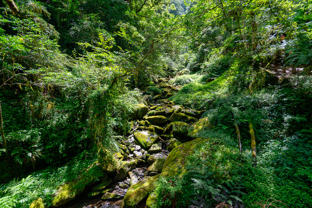 _DSC8814-編輯.JPG _DSC8814-編輯.JPG