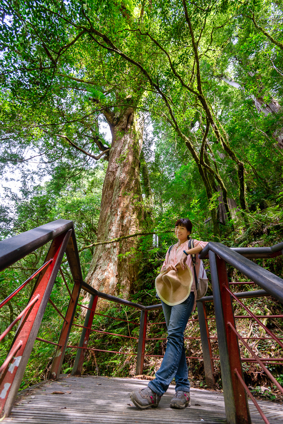 _DSC8819-編輯.JPG _DSC8819-編輯.JPG