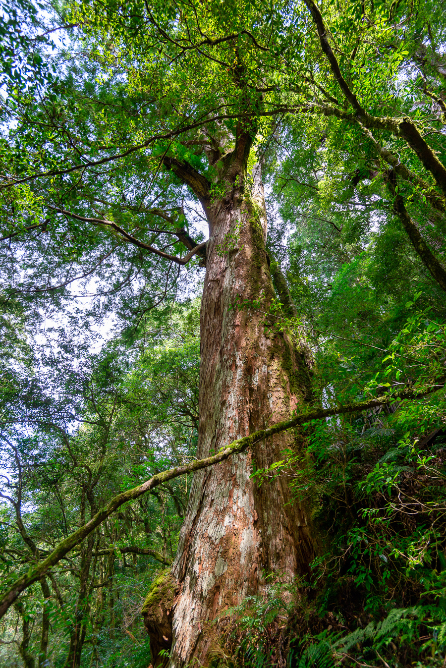 _DSC8821-編輯.JPG _DSC8821-編輯.JPG