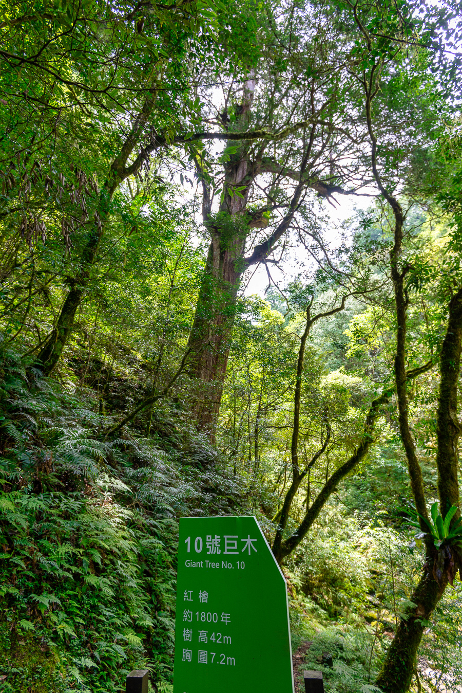 _DSC8826-編輯.JPG _DSC8826-編輯.JPG