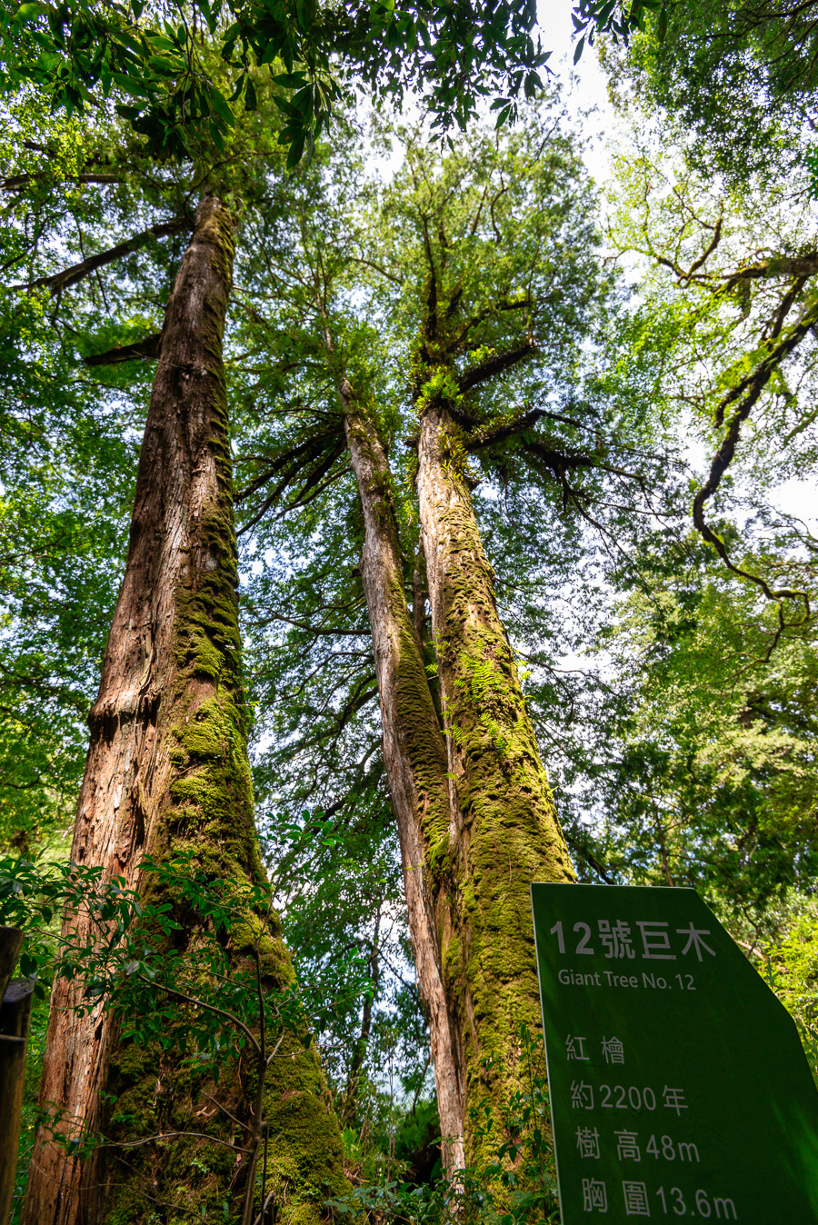 _DSC8837-編輯.JPG _DSC8837-編輯.JPG