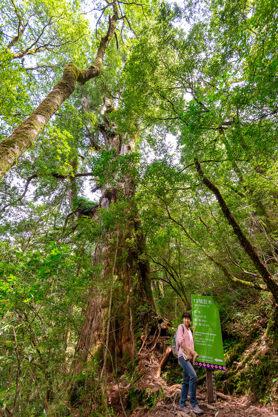 _DSC8847-編輯.JPG _DSC8847-編輯.JPG