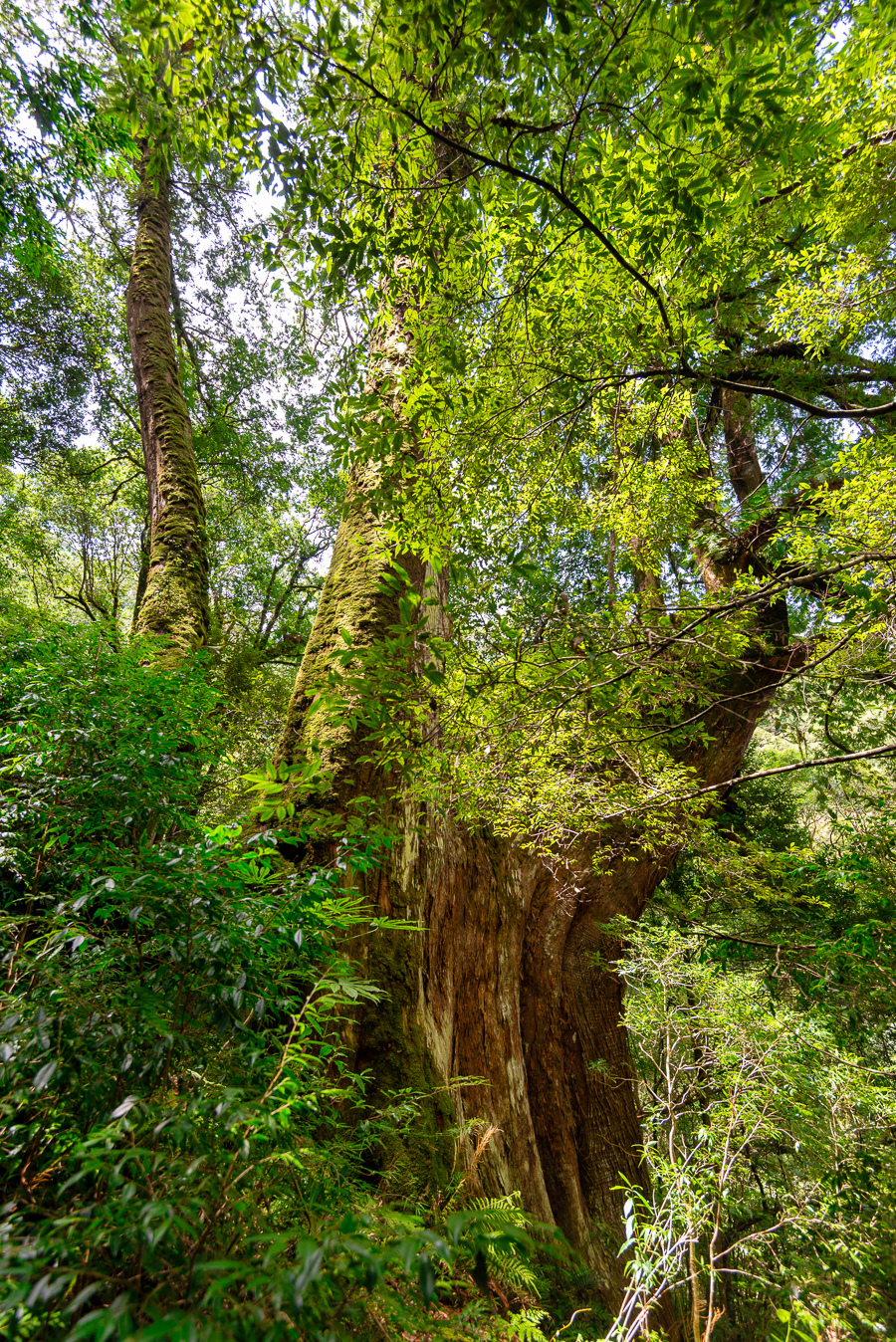 _DSC8840-編輯.JPG _DSC8840-編輯.JPG